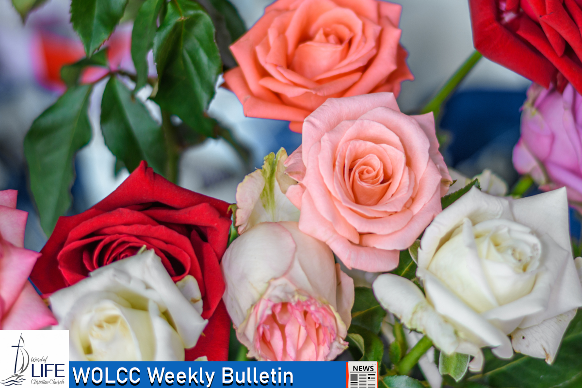 Sunday, February 15, 2026