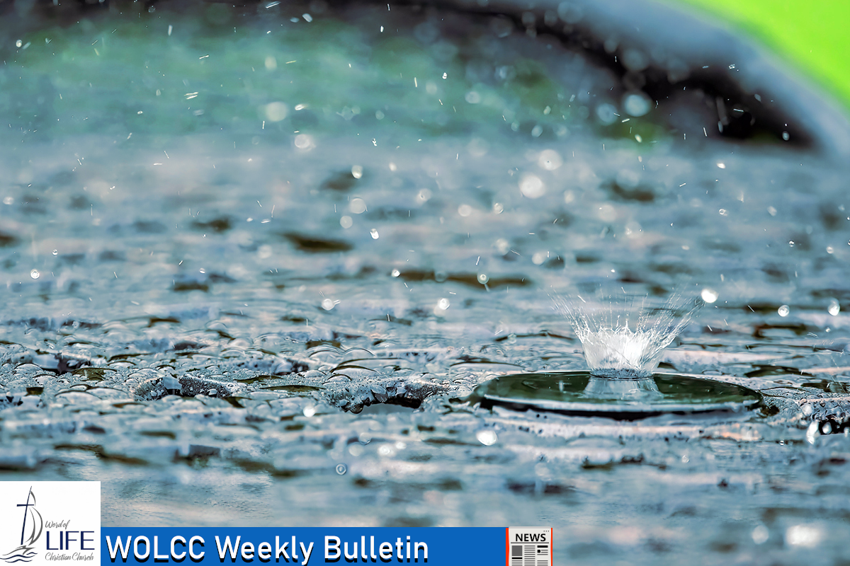 Sunday, March 1, 2026