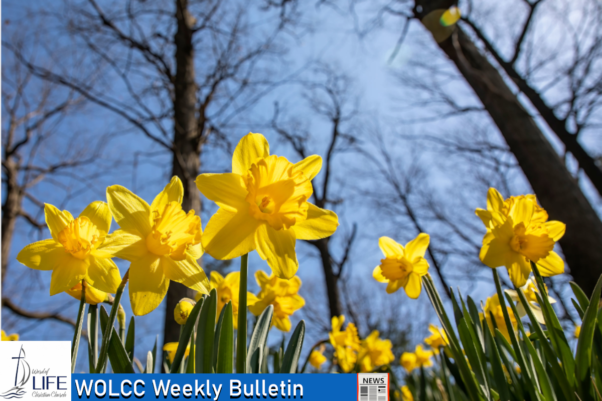 Sunday, March 15th, 2026