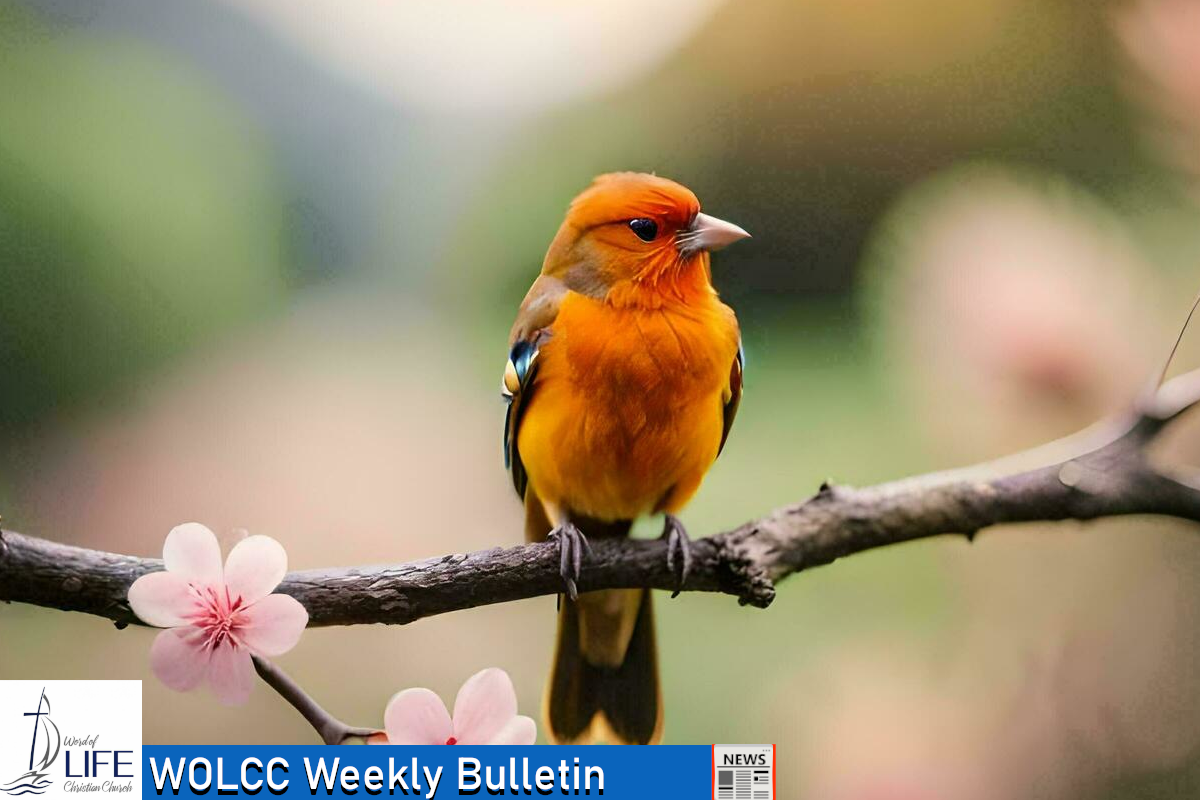 Sunday, March 8, 2026